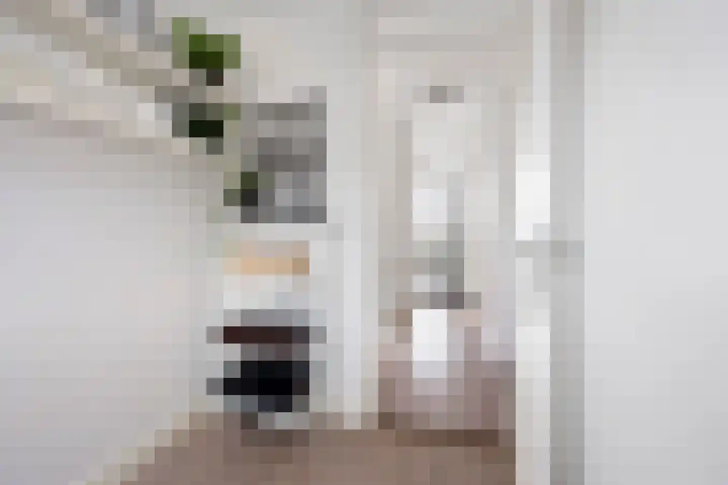 Theemsstraat 6 Haarlem thumbnail 30