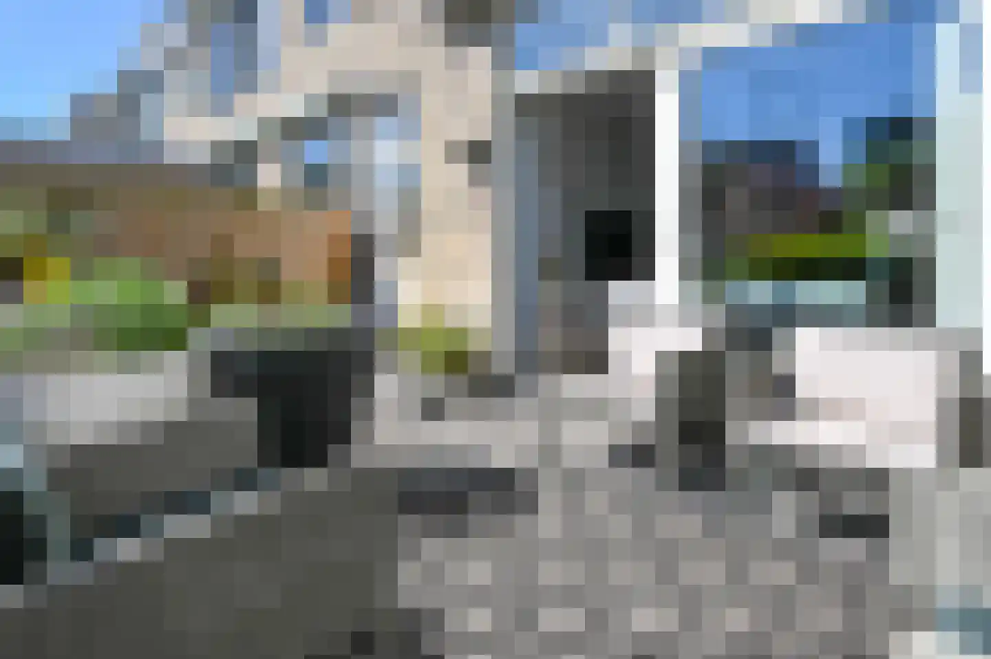 Theemsstraat 74 Haarlem thumbnail 21