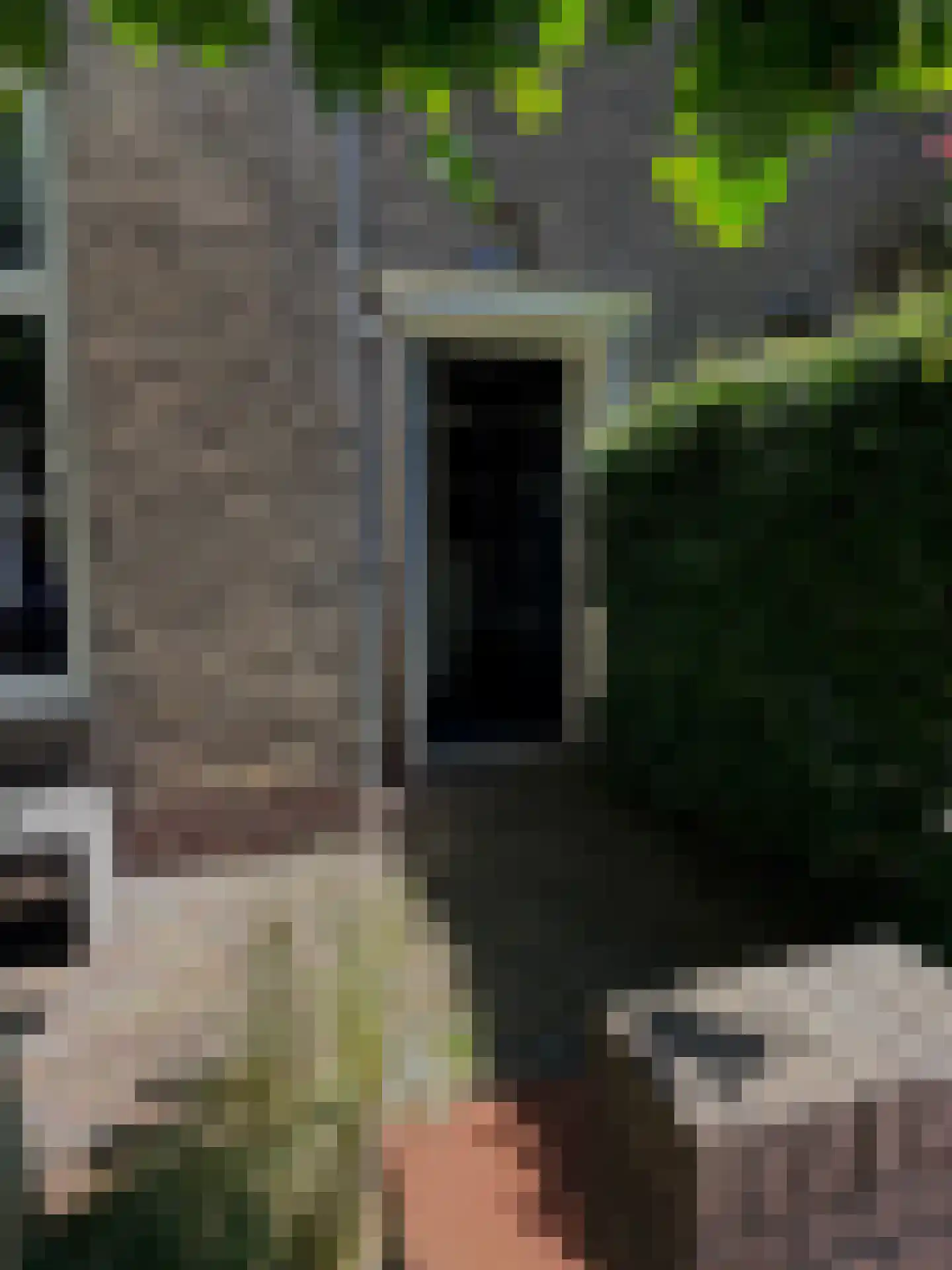 Theemsstraat 74 Haarlem thumbnail 33