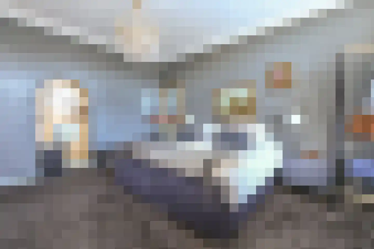 Theemsstraat 74 Haarlem thumbnail 34