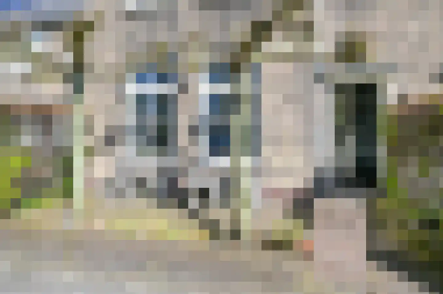 Theemsstraat 74 Haarlem thumbnail 5