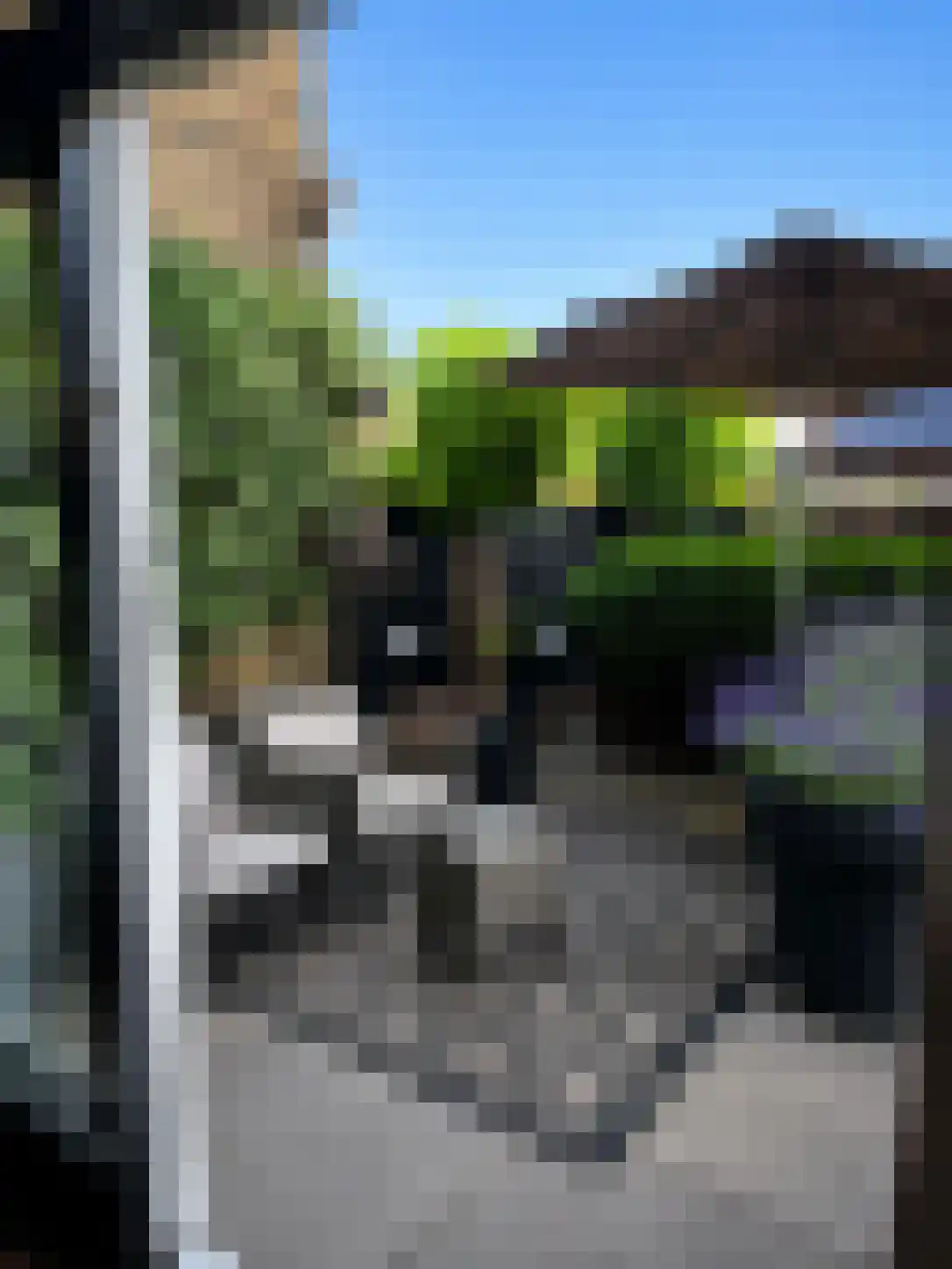 Theemsstraat 74 Haarlem thumbnail 5