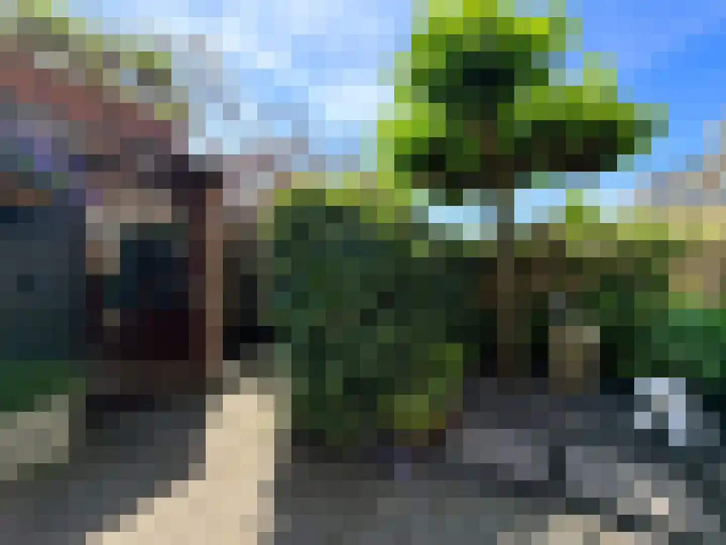 Theemsstraat 74 Haarlem thumbnail 7
