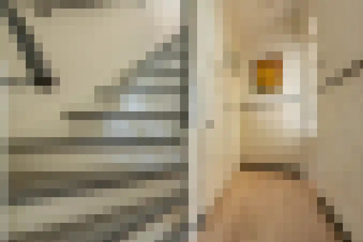 Theemsstraat 82 Haarlem thumbnail 27
