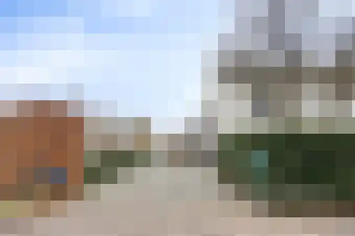 Theerestraat 70 Sint-Michielsgestel thumbnail 6