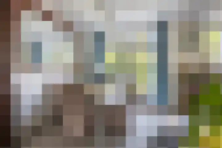 Theeroos 1 Berkel en Rodenrijs thumbnail 10