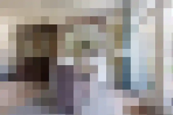 Theeroos 1 Berkel en Rodenrijs thumbnail 11
