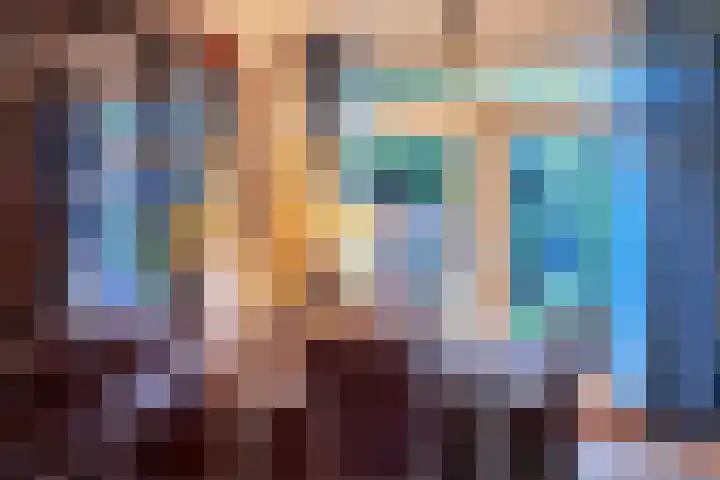 Theeroos 1 Berkel en Rodenrijs thumbnail 12