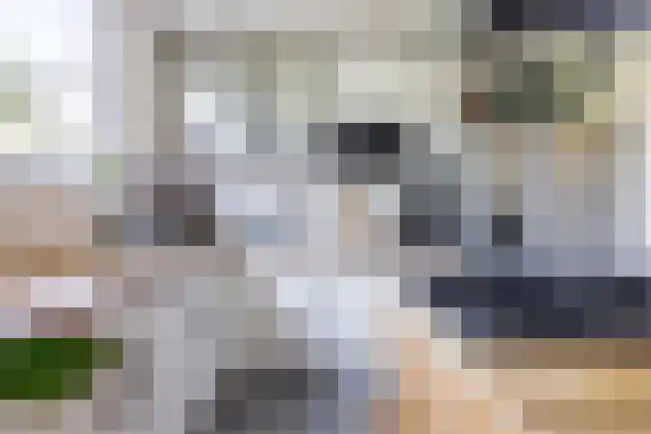 Theeroos 1 Berkel en Rodenrijs thumbnail 14