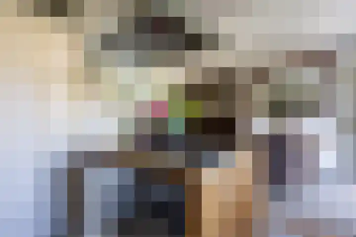 Theeroos 1 Berkel en Rodenrijs thumbnail 15