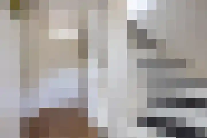 Theeroos 1 Berkel en Rodenrijs thumbnail 16