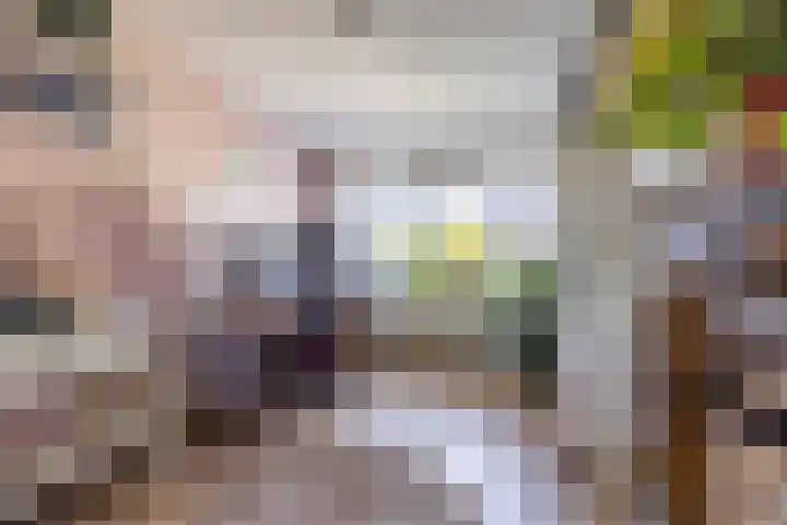 Theeroos 1 Berkel en Rodenrijs thumbnail 18