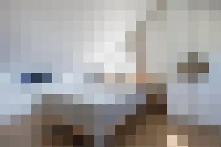 Theeroos 1 Berkel en Rodenrijs thumbnail 24