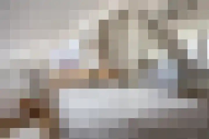 Theeroos 1 Berkel en Rodenrijs thumbnail 25
