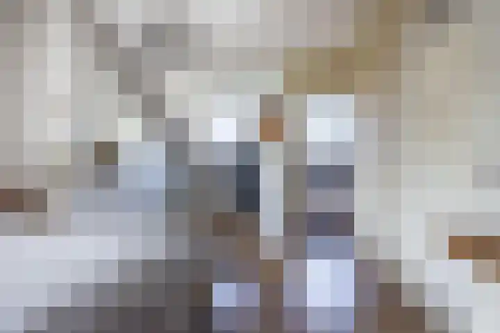 Theeroos 1 Berkel en Rodenrijs thumbnail 26