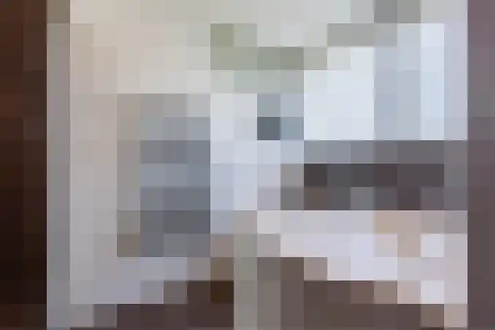 Theeroos 1 Berkel en Rodenrijs thumbnail 27