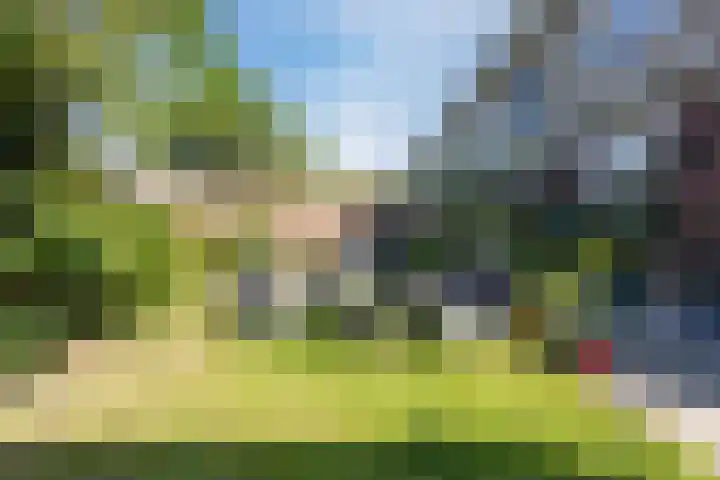 Theeroos 1 Berkel en Rodenrijs thumbnail 29