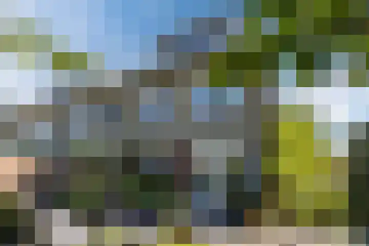 Theeroos 1 Berkel en Rodenrijs thumbnail 32