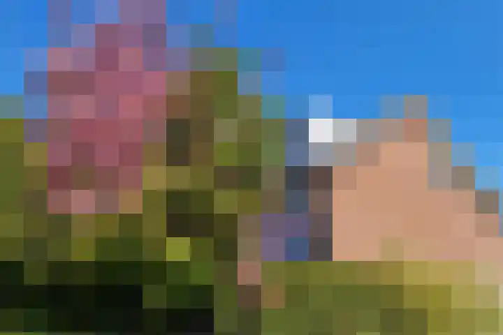 Theeroos 1 Berkel en Rodenrijs thumbnail 33