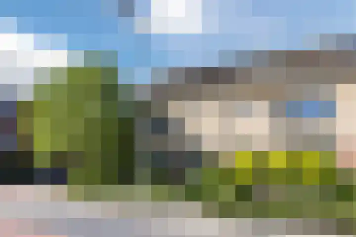 Theeroos 1 Berkel en Rodenrijs thumbnail 34