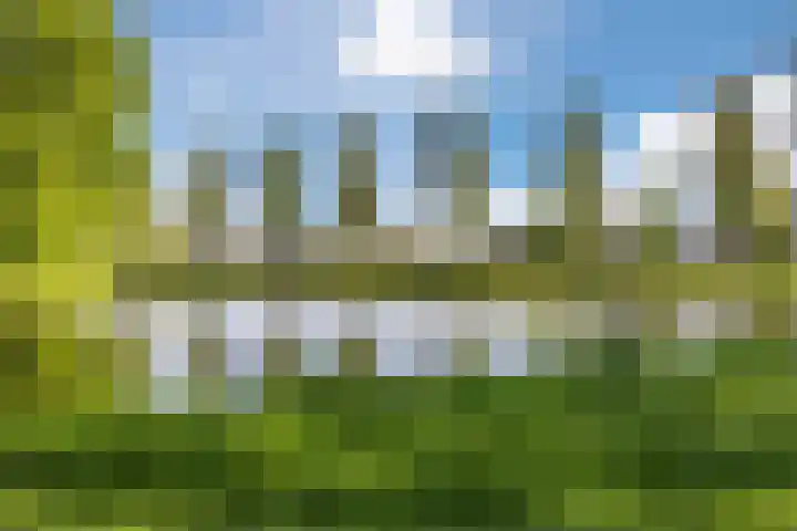 Theeroos 1 Berkel en Rodenrijs thumbnail 38