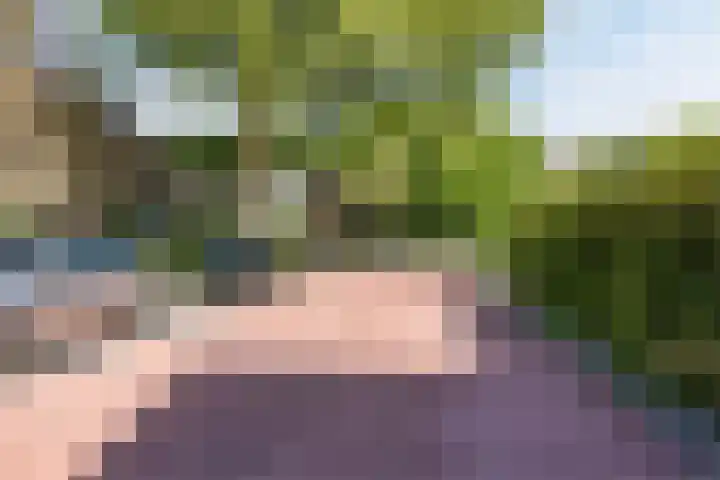 Theeroos 1 Berkel en Rodenrijs thumbnail 39