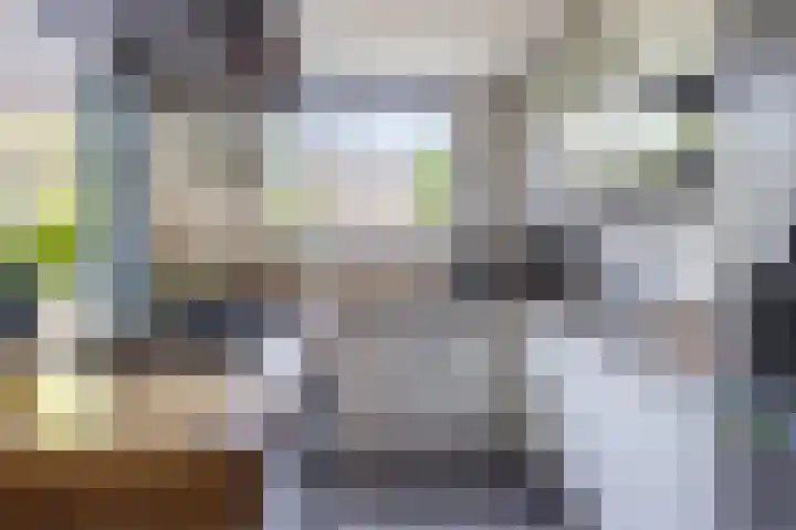 Theeroos 1 Berkel en Rodenrijs thumbnail 4