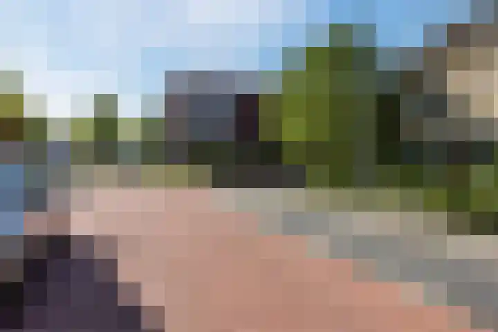 Theeroos 1 Berkel en Rodenrijs thumbnail 40