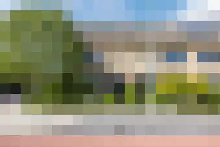 Theeroos 1 Berkel en Rodenrijs thumbnail 6