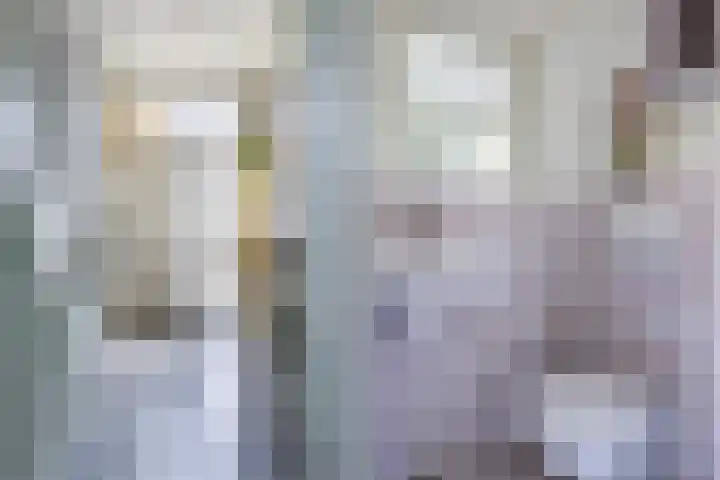 Theeroos 1 Berkel en Rodenrijs thumbnail 7
