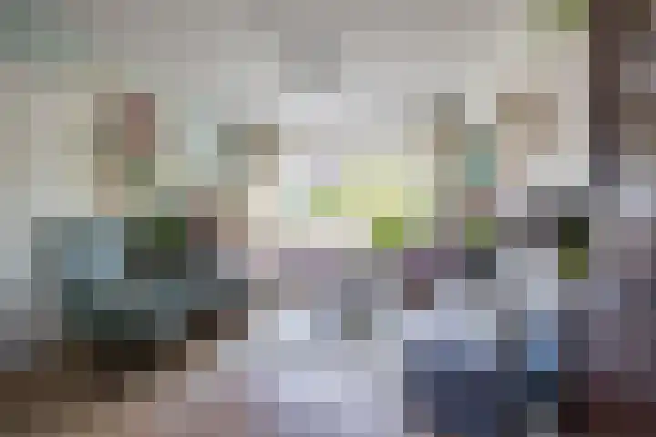 Theeroos 1 Berkel en Rodenrijs thumbnail 8