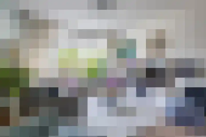 Theeroos 1 Berkel en Rodenrijs thumbnail 9