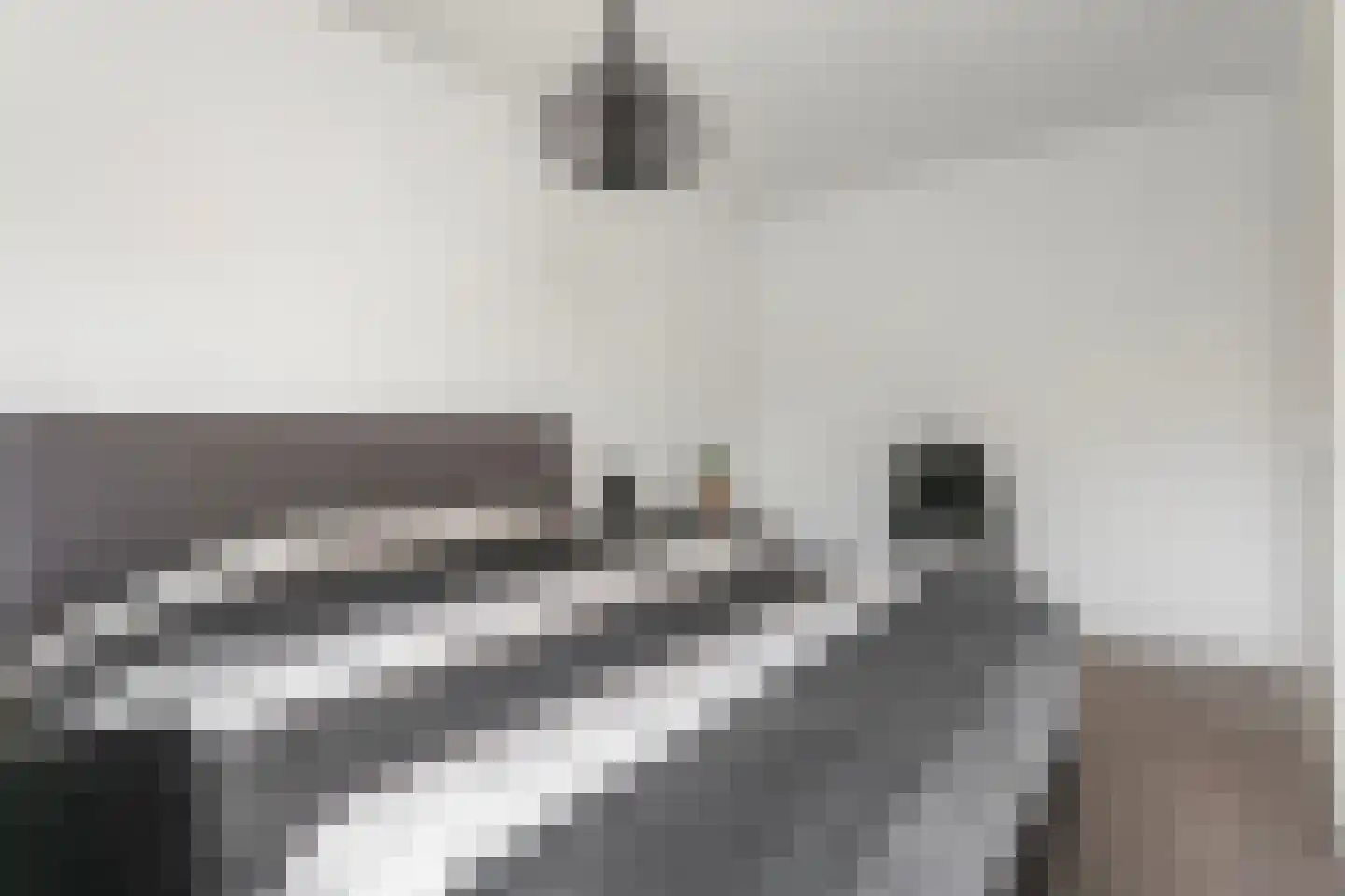 Theetuinlaan 11 Vleuten thumbnail 20