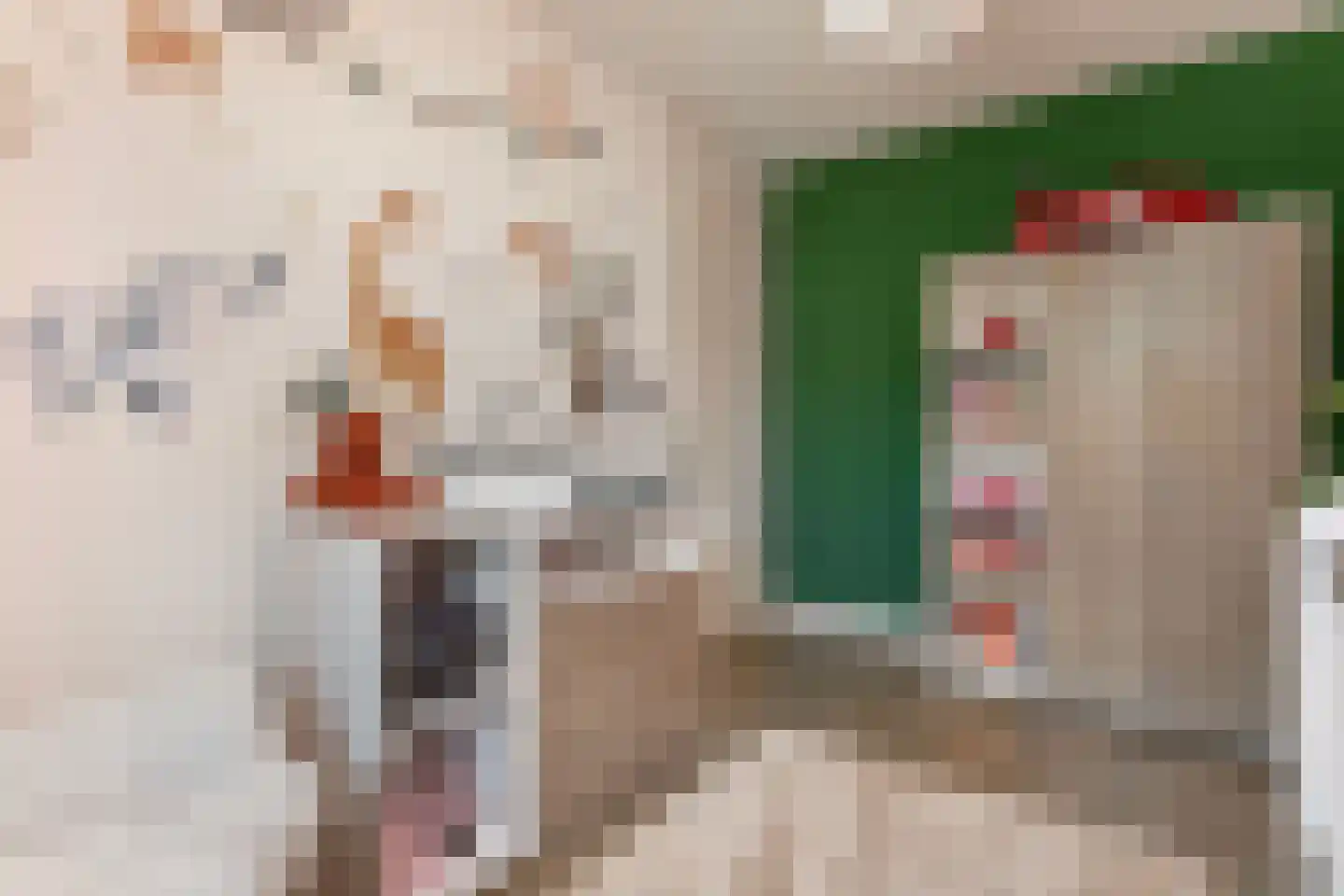 Theetuinlaan 11 Vleuten thumbnail 22