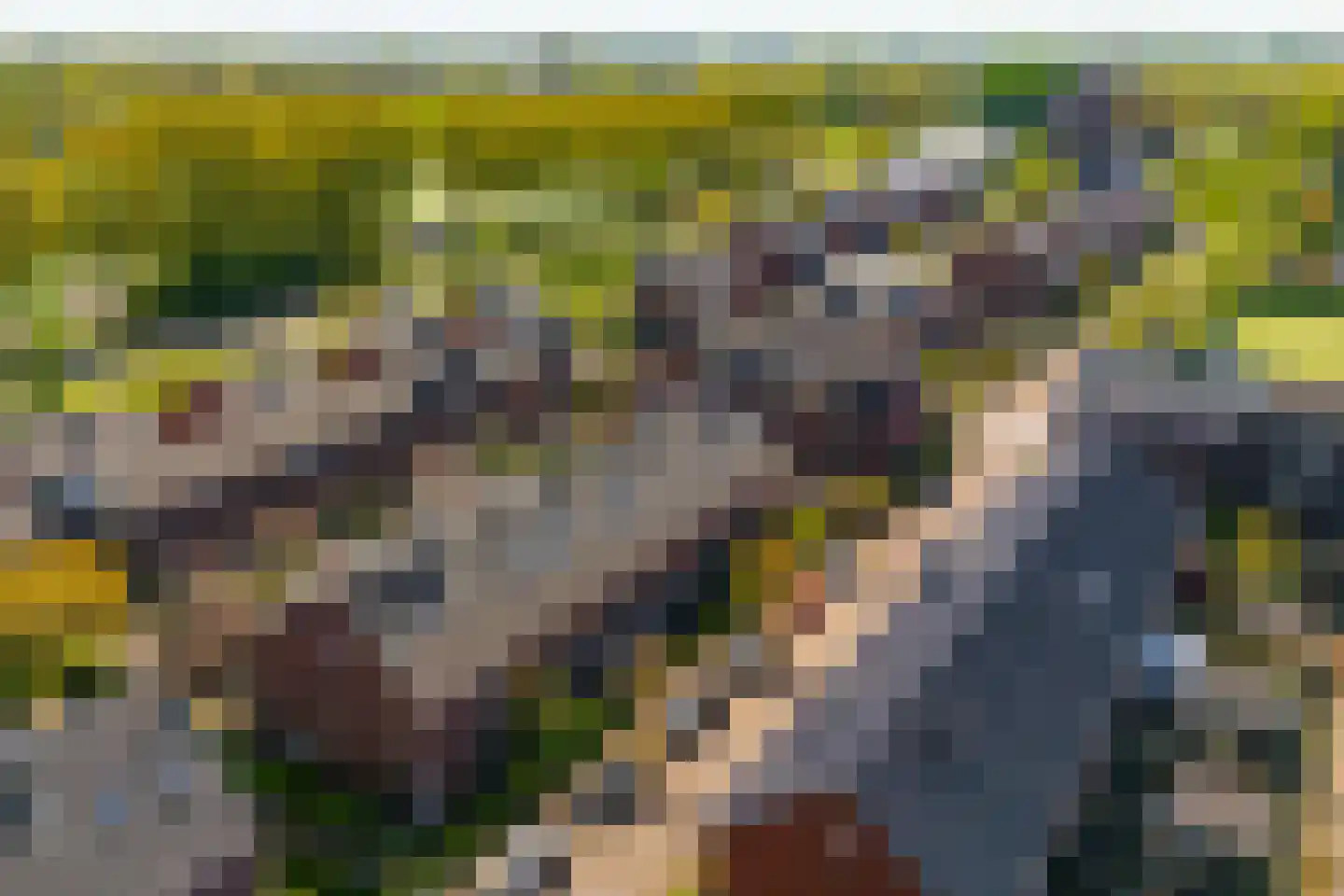 Theetuinlaan 11 Vleuten thumbnail 36