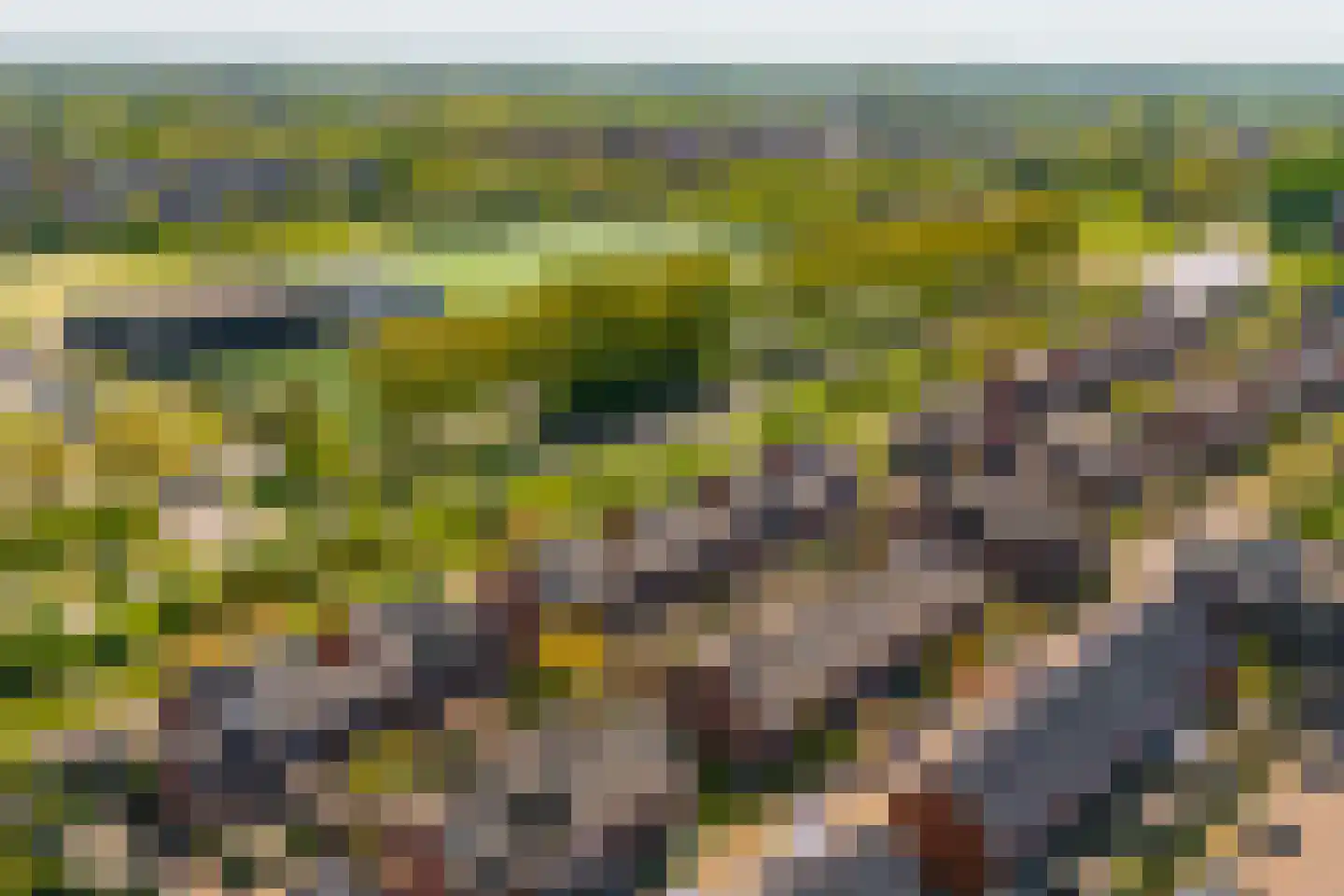 Theetuinlaan 11 Vleuten thumbnail 38