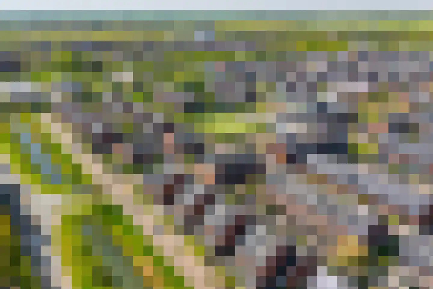 Theetuinlaan 11 Vleuten thumbnail 44