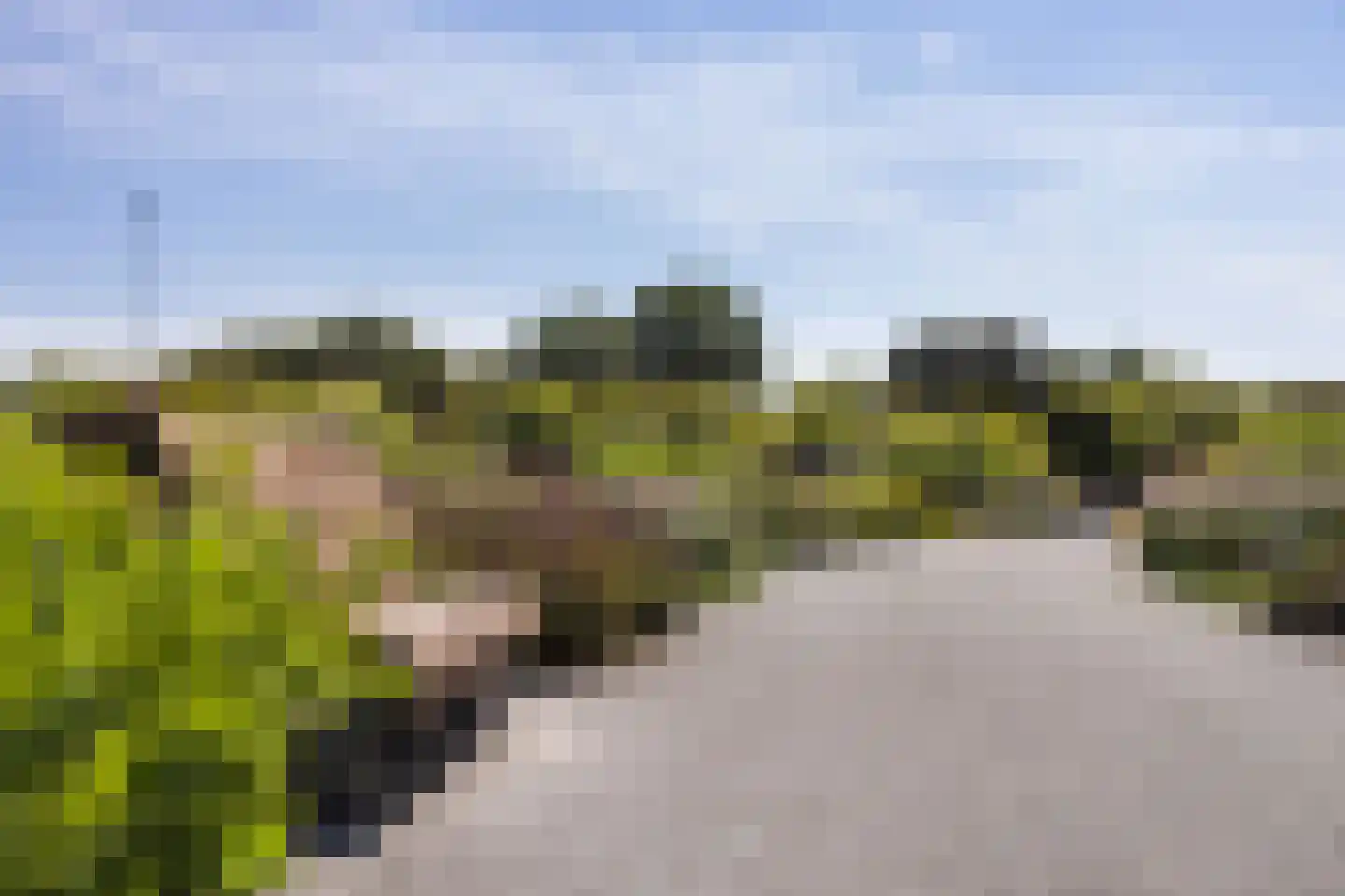 Theetuinlaan 11 Vleuten thumbnail 53