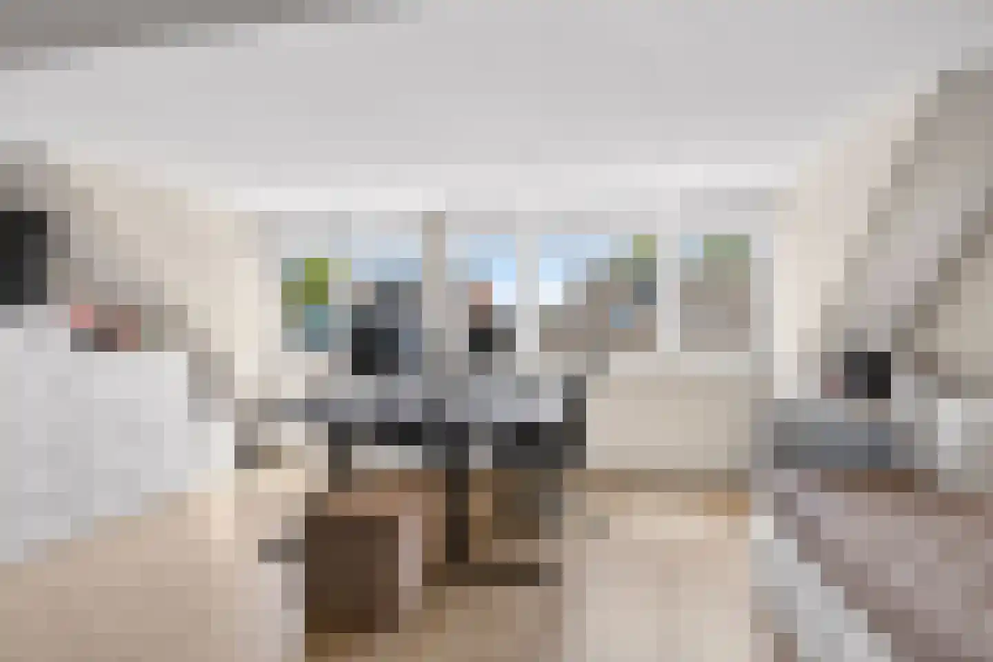 Theetuinlaan 15 Vleuten thumbnail 26