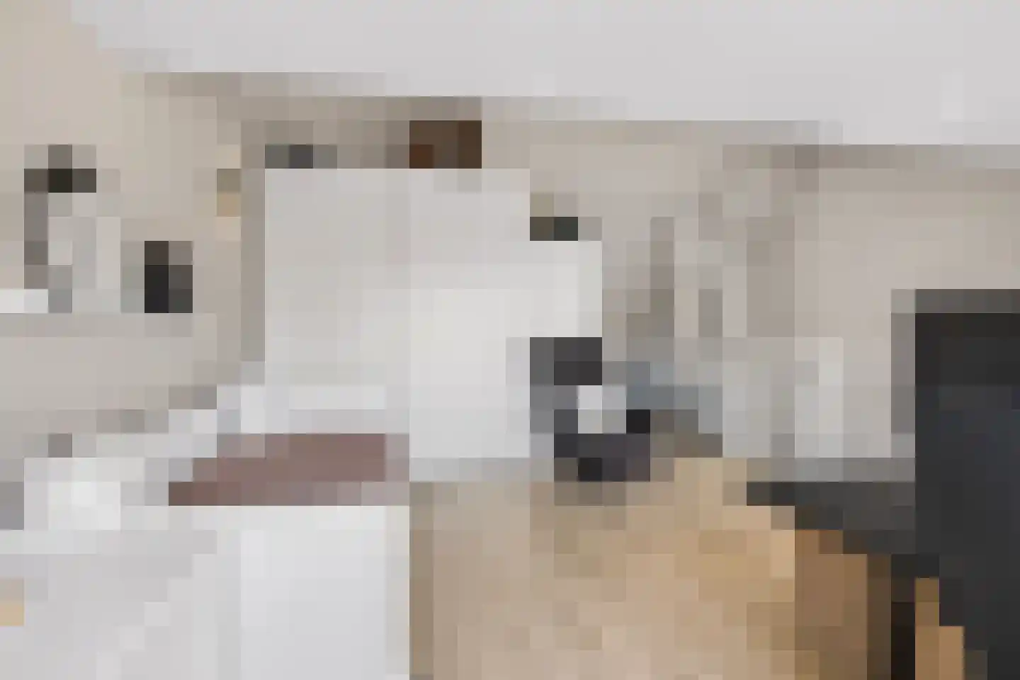 Theetuinlaan 15 Vleuten thumbnail 27