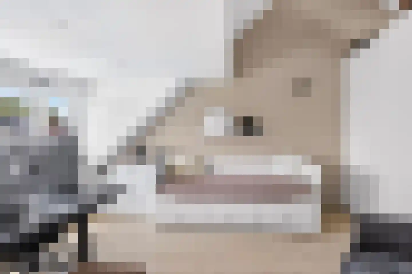 Theetuinlaan 15 Vleuten thumbnail 28