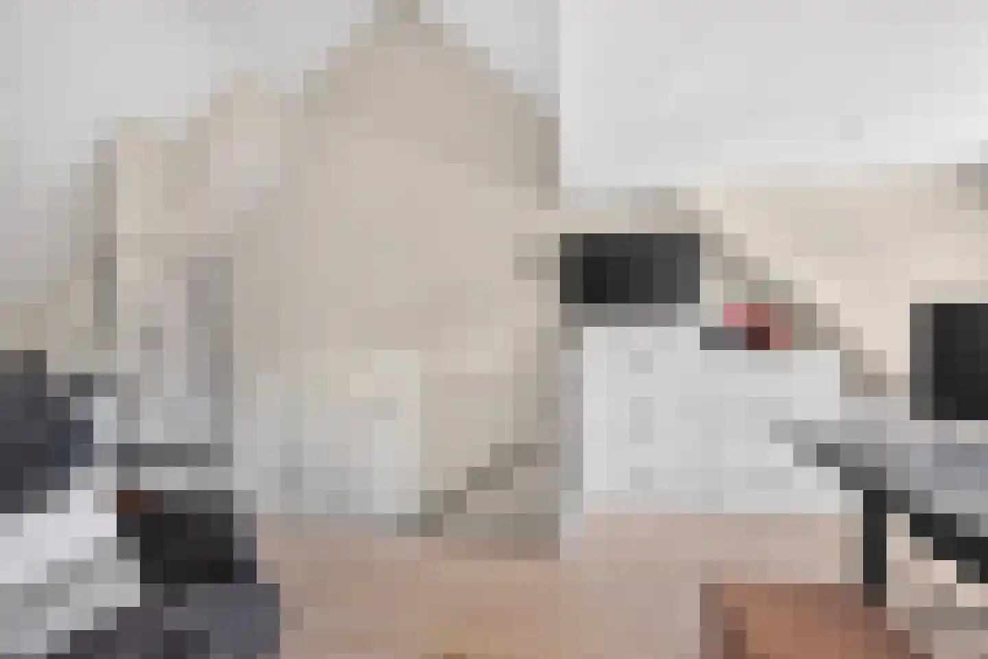 Theetuinlaan 15 Vleuten thumbnail 31
