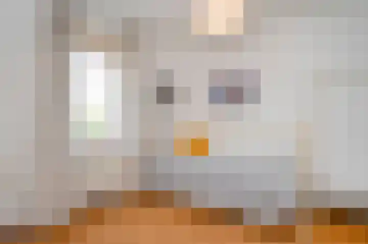Theissenstraat 17 Melick thumbnail 29