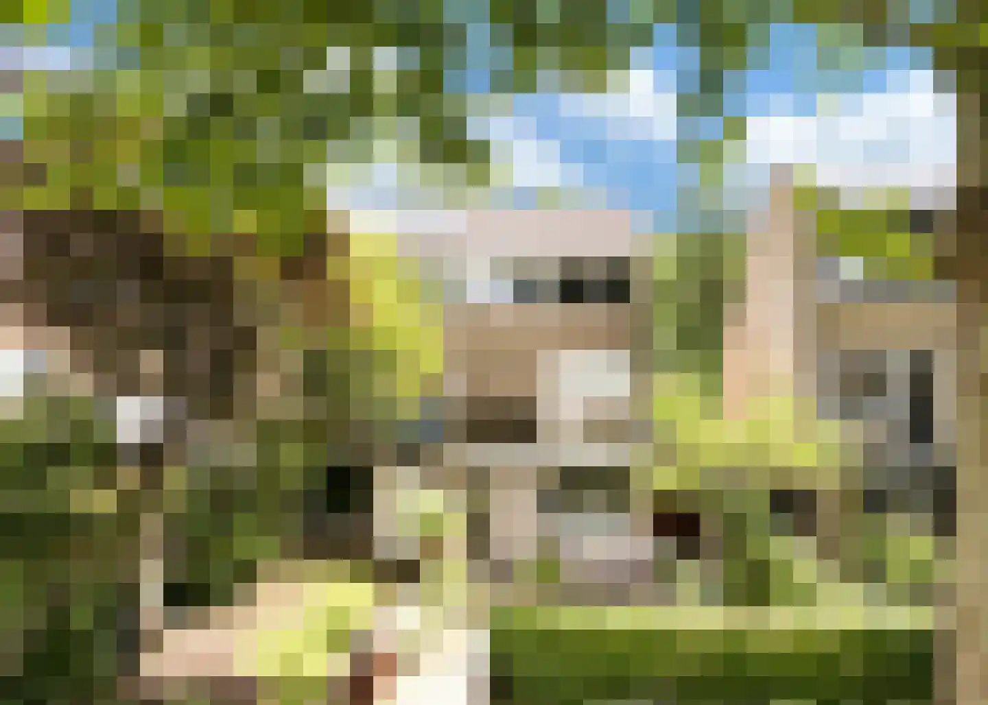 Themislaan 109 Heerhugowaard