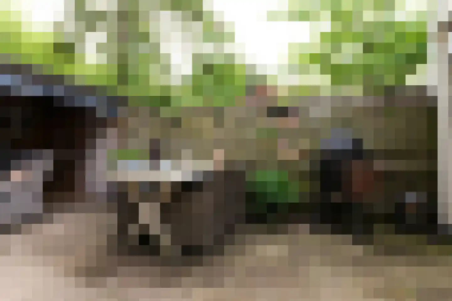 Themislaan 109 Heerhugowaard thumbnail 30