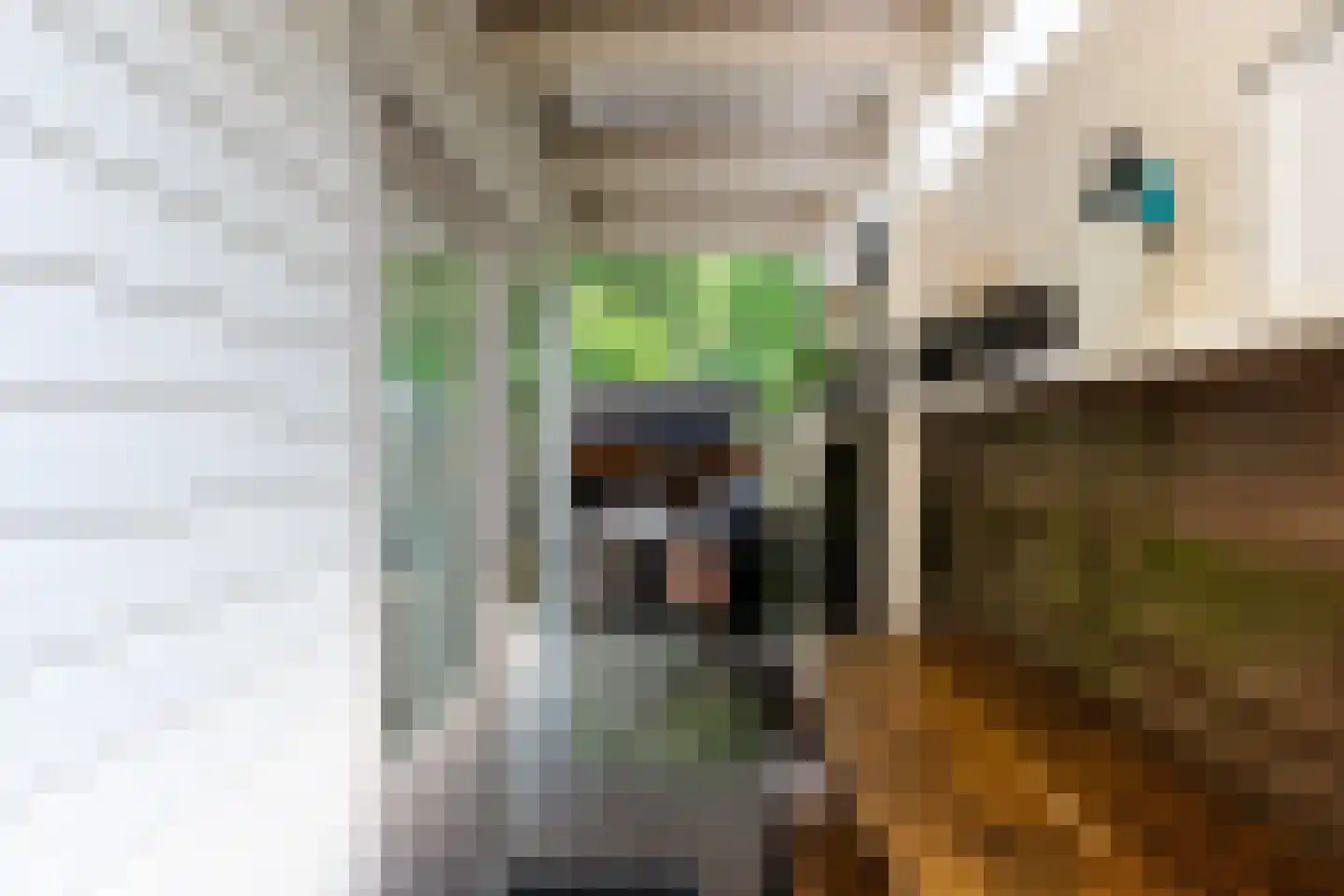 Themislaan 109 Heerhugowaard thumbnail 34