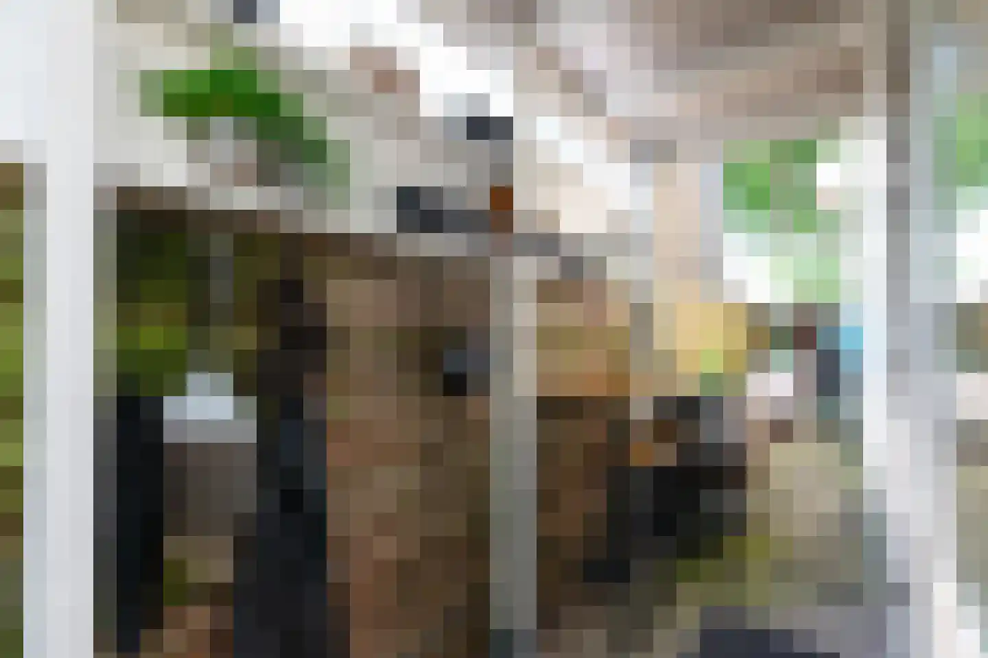 Themislaan 109 Heerhugowaard thumbnail 35