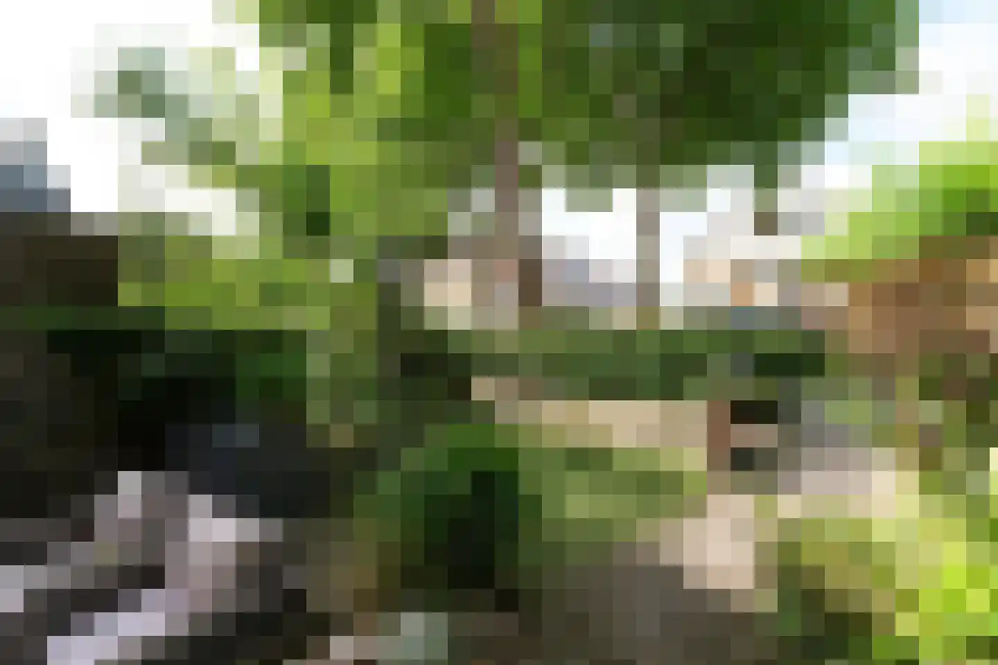 Themislaan 109 Heerhugowaard thumbnail 37