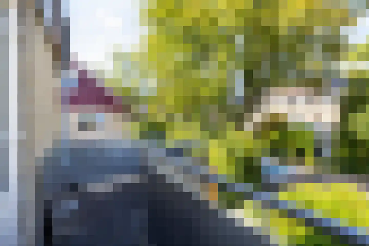 Themislaan 58 Heerhugowaard thumbnail 26