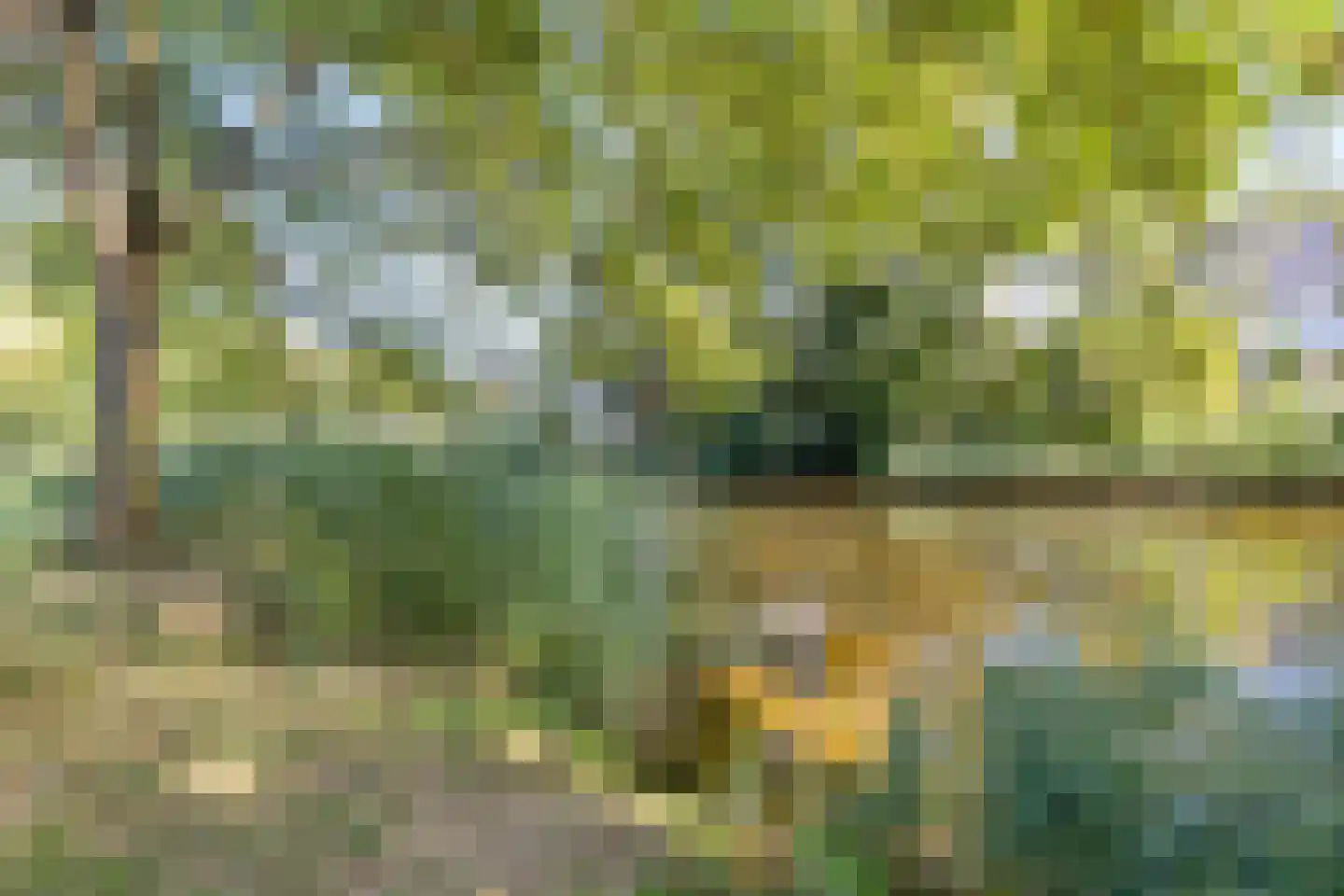 Themislaan 58 Heerhugowaard thumbnail 46